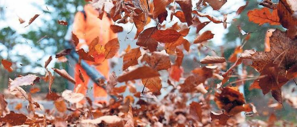 Bereit für den Laubeinsatz. Die BSR hat sich auf den Herbst eingestellt. 1900 Mitarbeiter und 450 Fahrzeuge werden die Stadt in den kommenden Wochen vom bunten Kleid des Herbstes befreien. Das Sturmtief Xavier hat bereits viele Blätter auf Straßen und Wegen verteilt.