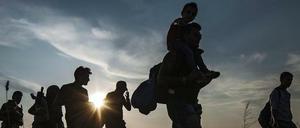Migranten und Flüchtlinge gehen an der Grenze zwischen Ungarn und Serbien bei Roszke, Ungarn, im Sommer 2015.
