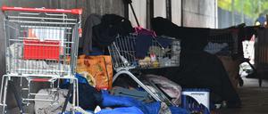 Wildes Campingchaos im Tiergarten.