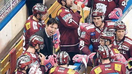 Nur nicht unterschätzen. Eisbären-Trainer Uwe Krupp im Einsatz. 