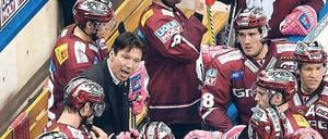 Nur nicht unterschätzen. Eisbären-Trainer Uwe Krupp im Einsatz. 