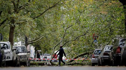 Auch der Sturm "Xavier" im Oktober 2017 hatte seinerzeit einige Verwüstungen angerichtet.