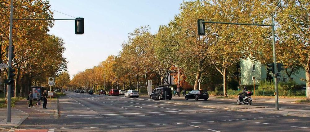 Die Heerstraße wird am Wochenende ab der Sandstraße bis zum Magistratsweg in beiden Richtungen gesperrt.