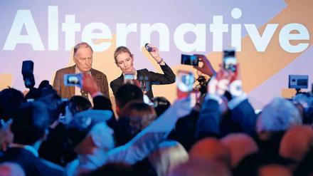 Die AfD - Zu oft im Fernsehen? Die falschen Fragen?