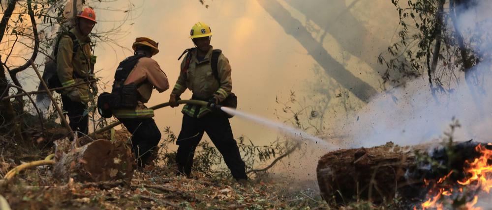 Kampf gegen die Flammen. Kaliforniens Feuerwehrleute kämpfen Tag und Nacht gegen die Brände.