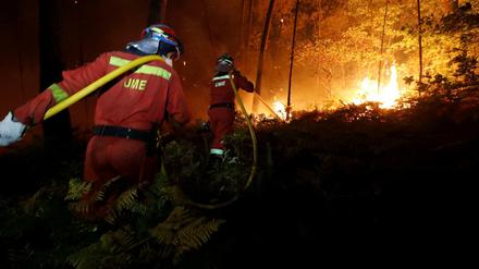 Die Behörden riefen die Menschen am Montag dazu auf, auch selbst gegen die Flammen vorzugehen. 