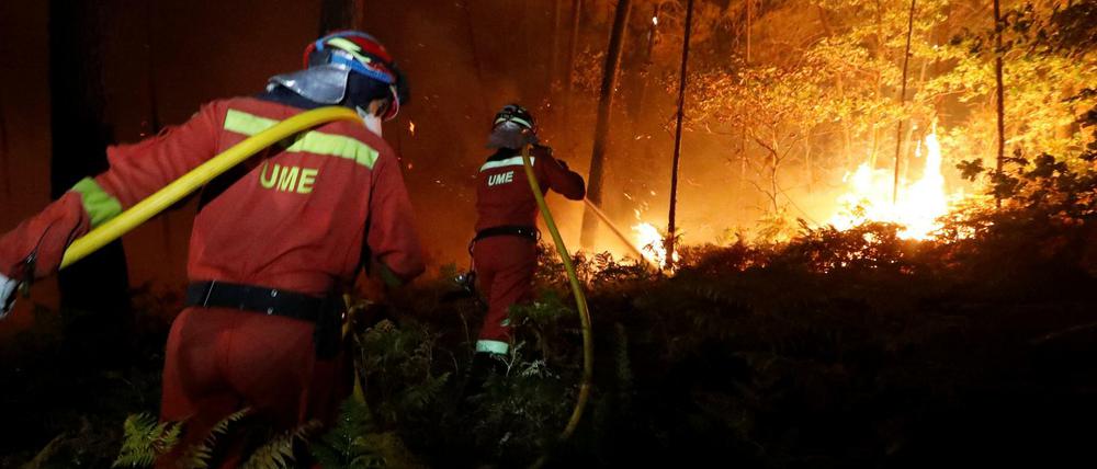 Die Behörden riefen die Menschen am Montag dazu auf, auch selbst gegen die Flammen vorzugehen. 