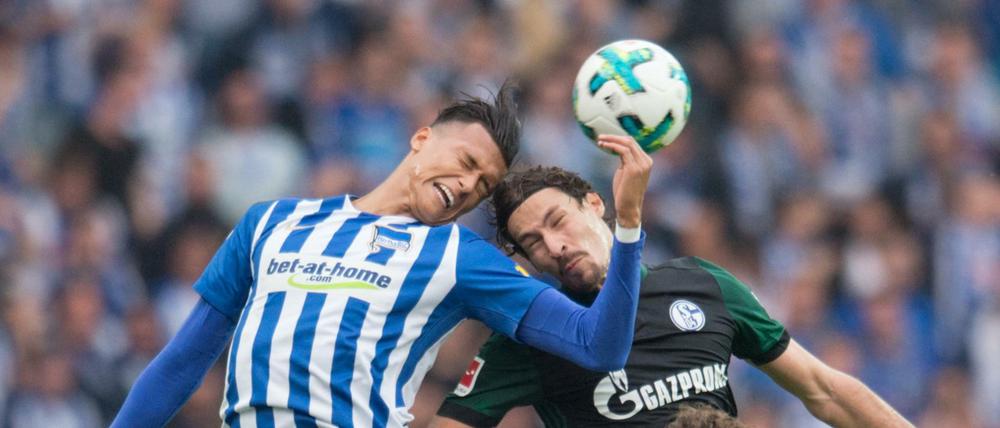 Endlich wieder im Getümmel. Davie Selke (links) feierte gegen Schalke sein Pflichtsspieldebüt für Hertha BSC.