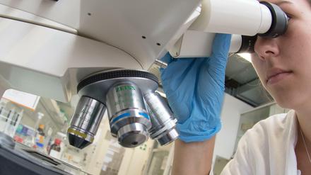 Blick in die Zukunft. Deutschlands Konkurrenz schläft nicht. Darauf muss reagiert werden, meint Martin Stratmann, Präsident der Max-Planck-Gesellschaft. Das Foto zeigt ein Labor des Wissenschaftszentrums für nachwachsende Rohstoffe in Straubing (Bayern).