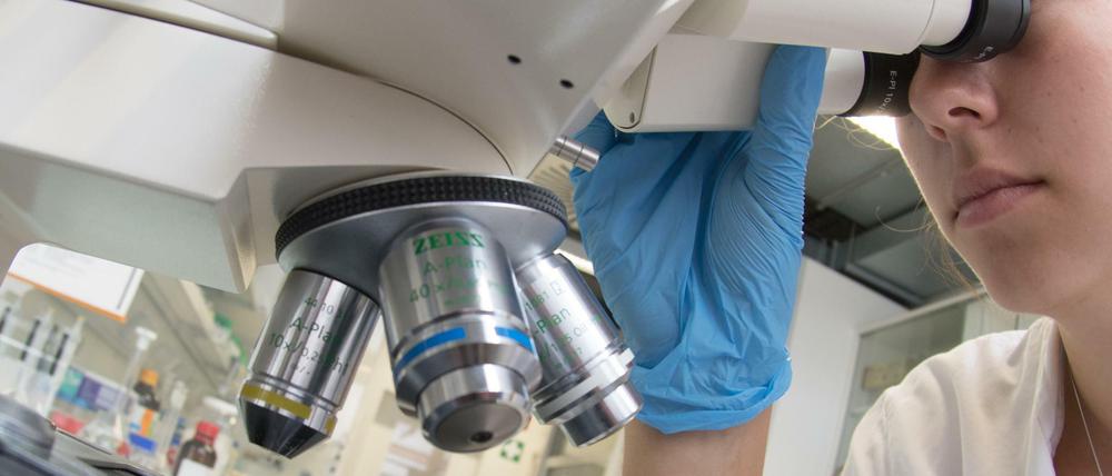 Blick in die Zukunft. Deutschlands Konkurrenz schläft nicht. Darauf muss reagiert werden, meint Martin Stratmann, Präsident der Max-Planck-Gesellschaft. Das Foto zeigt ein Labor des Wissenschaftszentrums für nachwachsende Rohstoffe in Straubing (Bayern).