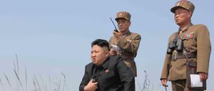Nordkoreas Machthaber Kim Jong Un 