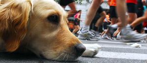 Auch beim Laufen gilt: Immer locker bleiben.