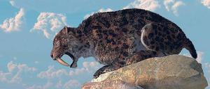 Auf dem Sprung. So dürfte der Säbelzahntiger ausgesehen haben.