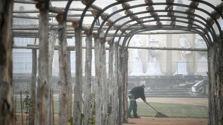 Ein Arbeiter ist im Park Sanssouci in Potsdam (Brandenburg) im Holländischen Garten beschäftigt. 