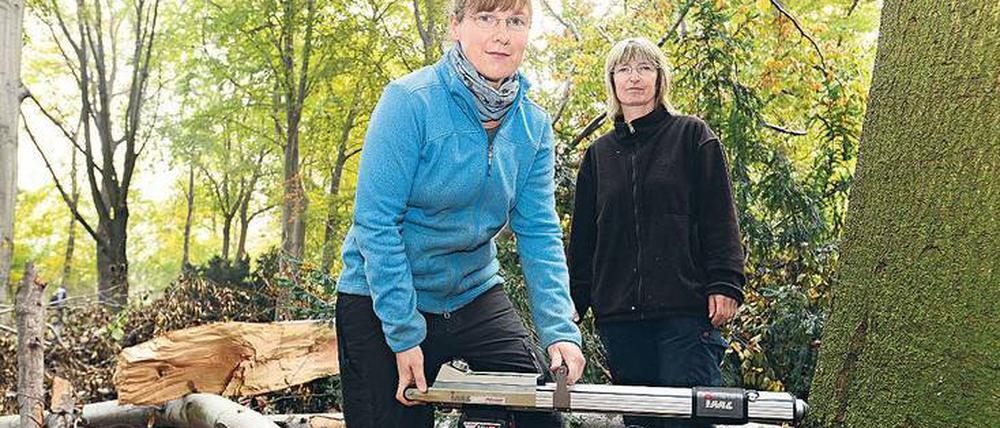 Zwischen Baum und Borke. Baumkontrolleurin Karin Raptis und ihre Kollegin Natalie Minninger sind im Tiergarten mit dem Resistografen unterwegs.