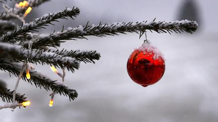 Weihnachten steht vor der Tür.