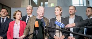Die AfD Fraktionsvorsitzenden Alexander Gauland und Alice Weidel (M) stehen neben stellvertretenden Fraktionsvorsitzenden der AfD Bundestagsfraktion, (l-r) Tino Chrupalla, Beatrix von Storch, Roland Hartwig, Leif-Erik Holm und Peter Felser. 