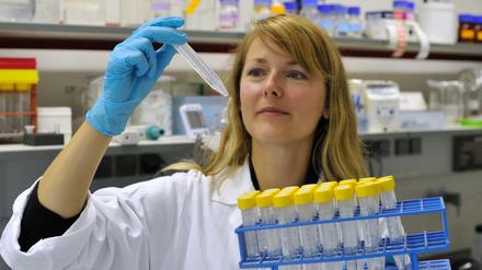 Eine Wissenschaftlerin prüft Laborproben.