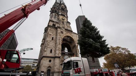 An der Gedächtniskirche findet die ehemalige Gartentanne von Gundula Wilde ihr neues Zuhause - wenigstens für die Weihnachtszeit.