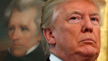 Donald Trump im Weißen Haus - vor einem Gemälde des einstigen Präsidenten Andrew Jackson.