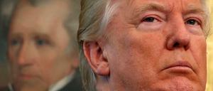 Donald Trump im Weißen Haus - vor einem Gemälde des einstigen Präsidenten Andrew Jackson.