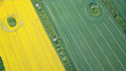 Ausgekreiselt? Die heftig umstrittene Kreisgebietsreform ist kaum mehr zu halten. 