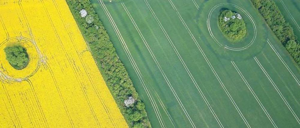 Ausgekreiselt? Die heftig umstrittene Kreisgebietsreform ist kaum mehr zu halten.