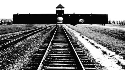 Nach Auschwitz. Viele Mittäter halfen, den Holocaust zu organisieren, wie Hilberg nachwies; so die Reichsbahn. Der Zeitgeist wollte davon nichts wissen. 