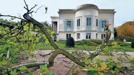 Gnadenlos. Sturmtief „Xavier“ hat in den Schlossgärten von Potsdam, Brandenburg und Berlin eine Spur der Verwüstung hinterlassen. Allein im Park von Sanssouci sind ihm 110 historische Altbäume zum Opfer gefallen. 
