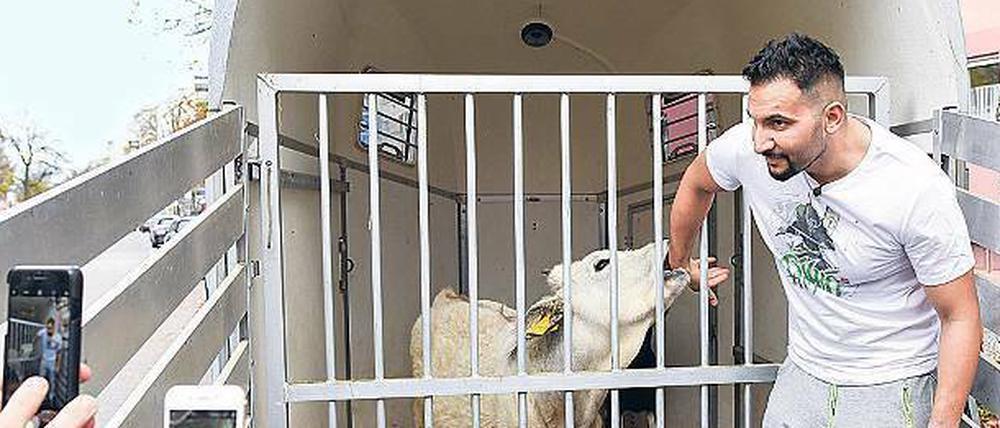 Keine Gewalt! Vegan-Wirt Attila Hildmann war zärtlich zum Tier. 
