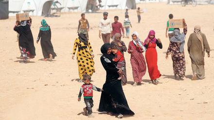 Entwurzelt. Syrische Binnenflüchtlinge in einem Lager bei Ain Issa in Syrien. Weltweit sind rund 65 Millionen Menschen auf der Flucht.