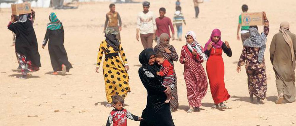 Entwurzelt. Syrische Binnenflüchtlinge in einem Lager bei Ain Issa in Syrien. Weltweit sind rund 65 Millionen Menschen auf der Flucht.