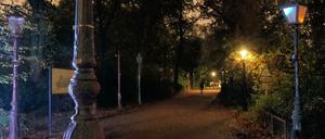 Abends im Tiergarten: Einige Junkies berichten, dass sie sich vor konkurrierenden Banden fürchten. 