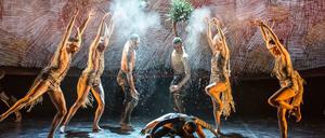Traumzeit. Tanztheater aus Ausstralien - das Bangarra Dance Theatre mit "OUR land people stories".