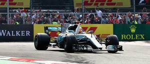 Da reckt er die Faust. Lewis Hamilton ist am Ziel seiner Wünsche - für dieses Jahr.