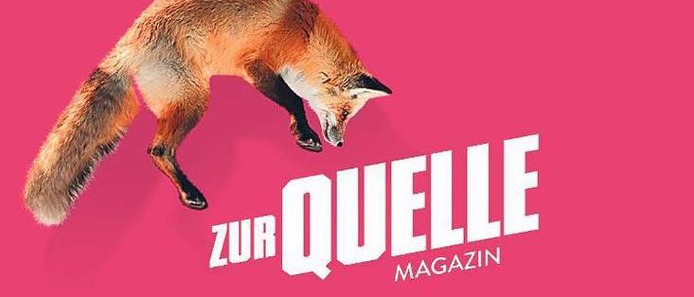 Süß mit Fuchs. Die "Quelle" setzt auf den Tiereffekt.