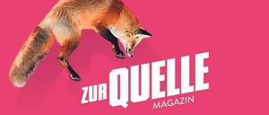 Süß mit Fuchs. Die "Quelle" setzt auf den Tiereffekt.