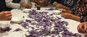 Blüte für Blüte. Die roten Fäden im blühenden Krokus werden einzeln abgelöst, getrocknet und als Safran verpackt.[