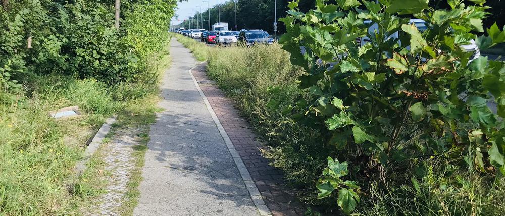Mieser Zustand: der Radweg im Sommer 2021.