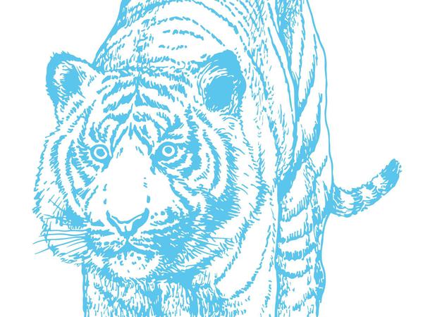 Aus Schillers "Handschuh": Die mühsam gezügelte Aggression des Tigers, das Sich-Belauern der Raubtiere, „und herum im Kreis/von Mordlust heiß/lagern die greulichen Katzen“...