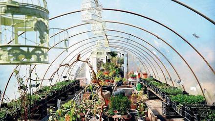 Der Kräutergarten der Späth’schen Baumschulen in Treptow