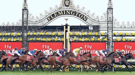 Der Melbourne Cup ist ein gesellschaftliches Ereignis. 
