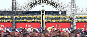 Der Melbourne Cup ist ein gesellschaftliches Ereignis.