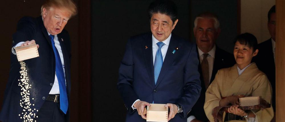Eat this: US-Präsident Donald Trump schüttet Fischfutter über Koi-Karpfen aus - zuvor hatte es ihm Japans Premierminister vorgemacht.