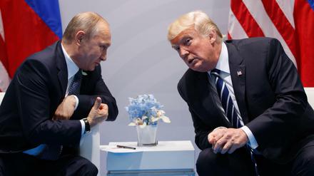 ARCHIV- US-Präsident Donald Trump spricht am 07.07.2017 in Hamburg mit dem russische Präsident Wladimir Putin während eines Treffens beim G20-Gipfel. 
