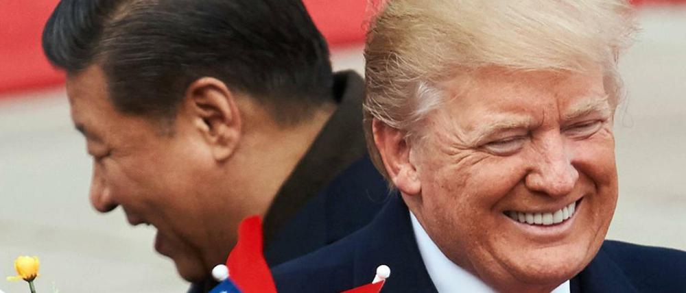 Chinas Präsident Xi Jinping (links) und sein US-Kollege Donald Trump zeigten sich zufrieden.