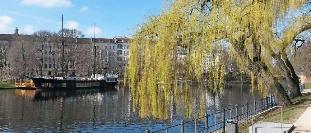 Das Fraenkelufer wird sich im nächsten Jahr stark verändern.
