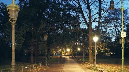 Wenn es dunkel wird im Tiergarten. Der Park hat ohnehin nicht den besten Ruf, nun sollen auch die alten Lampen dort weg. 