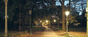 Wenn es dunkel wird im Tiergarten. Der Park hat ohnehin nicht den besten Ruf, nun sollen auch die alten Lampen dort weg. 