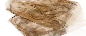 Dem Text auf der Spur. Volumenrendering eines gefalteten Papyrus, berechnet aus einem Röntgentomogramm. Es wurde von Norbert Lindow am Zuse-Institut Berlin (ZIB) erstellt. Das Tmogramm wurde am Msuem für Naturkunde von Kristin Mahlow in der AG von Johannes Müller erstellt. 